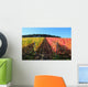 Indian summer, vineyards, wine leaves in autumn coloration Wall Mural