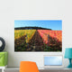 Indian summer, vineyards, wine leaves in autumn coloration Wall Mural