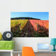 Indian summer, vineyards, wine leaves in autumn coloration Wall Mural