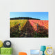 Indian summer, vineyards, wine leaves in autumn coloration Wall Mural