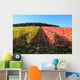 Indian summer, vineyards, wine leaves in autumn coloration Wall Mural