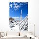 Mount Washington Wall Mural