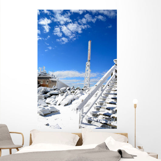 Mount Washington Wall Mural