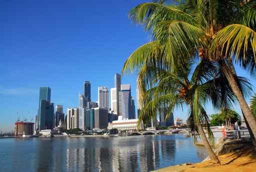 Singapore Skyline Wall Decal