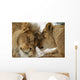 Love's Secret Lion and Wall Mural