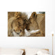 Love's Secret Lion and Wall Mural