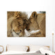 Love's Secret Lion and Wall Mural