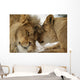 Love's Secret Lion and Wall Mural