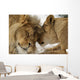 Love's Secret Lion and Wall Mural