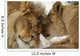 Love's Secret Lion and Wall Mural