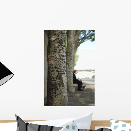 Sur Les Quais Wall Decal