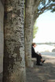 Sur Les Quais Wall Decal