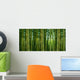 Sunlight Breaking through Bamboo Wall Decal