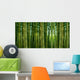 Sunlight Breaking through Bamboo Wall Decal