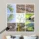 2011 Nature zen mounting Wall Mural