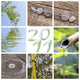 2011 Nature zen mounting Wall Mural