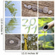 2011 Nature zen mounting Wall Mural
