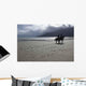 Horses Beach Wall Decal