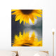 Sunflower Wall Mural