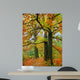 Fall Oak Trees