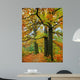 Fall Oak Trees