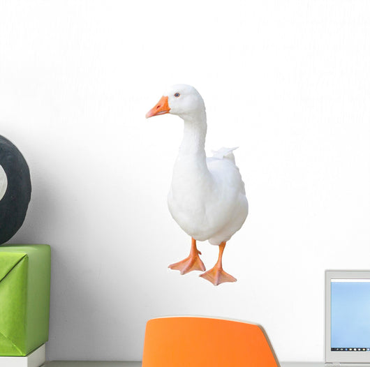 White Farm Duck Wall Decal