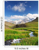 River Meadow