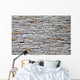 Wall