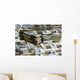 Million Bucks