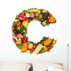 alphabet of health - "c" Wall Decal