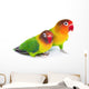 Pair of lovebirds Wall Decal