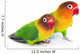 Pair of lovebirds Wall Decal
