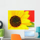 Sonnenblume Wall Mural
