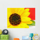 Sonnenblume Wall Mural