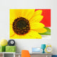 Sonnenblume Wall Mural
