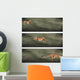 Cheetah Frames Wall Decal