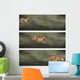 Cheetah Frames Wall Decal