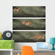 Cheetah Frames Wall Decal