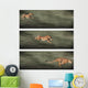 Cheetah Frames Wall Decal