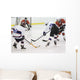 Shot on Goal, Hockey Wall Mural