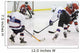 Shot on Goal, Hockey Wall Mural