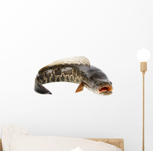 Ferocious Snakehead Wall Decal