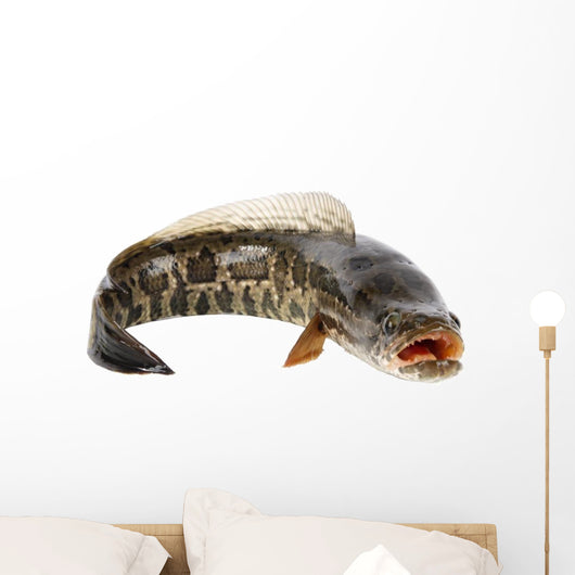 Ferocious Snakehead Wall Decal