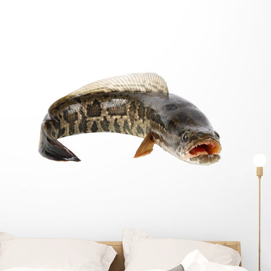 Ferocious Snakehead Wall Decal