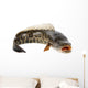 Ferocious Snakehead Wall Decal