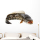 Ferocious Snakehead Wall Decal