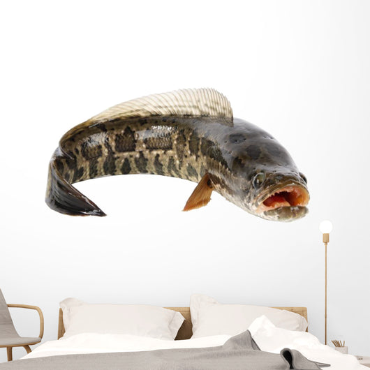 Ferocious Snakehead Wall Decal