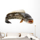 Ferocious Snakehead Wall Decal
