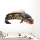 Ferocious Snakehead Wall Decal