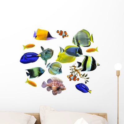 Groupe Poissons D'eau Mer shown on a wall